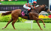 Super Ninetyseven and Joao Moreira on their way to victory on Sunday.<br>Photo by Singapore Turf Club